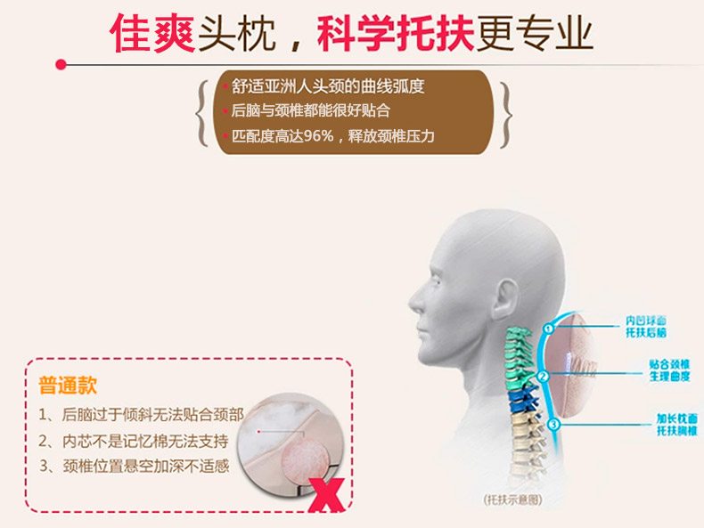 佳爽BH1 汽車骨頭枕 脖子護頸枕 辦公室椅子用頭靠枕 親水棉記憶旅行枕芯
